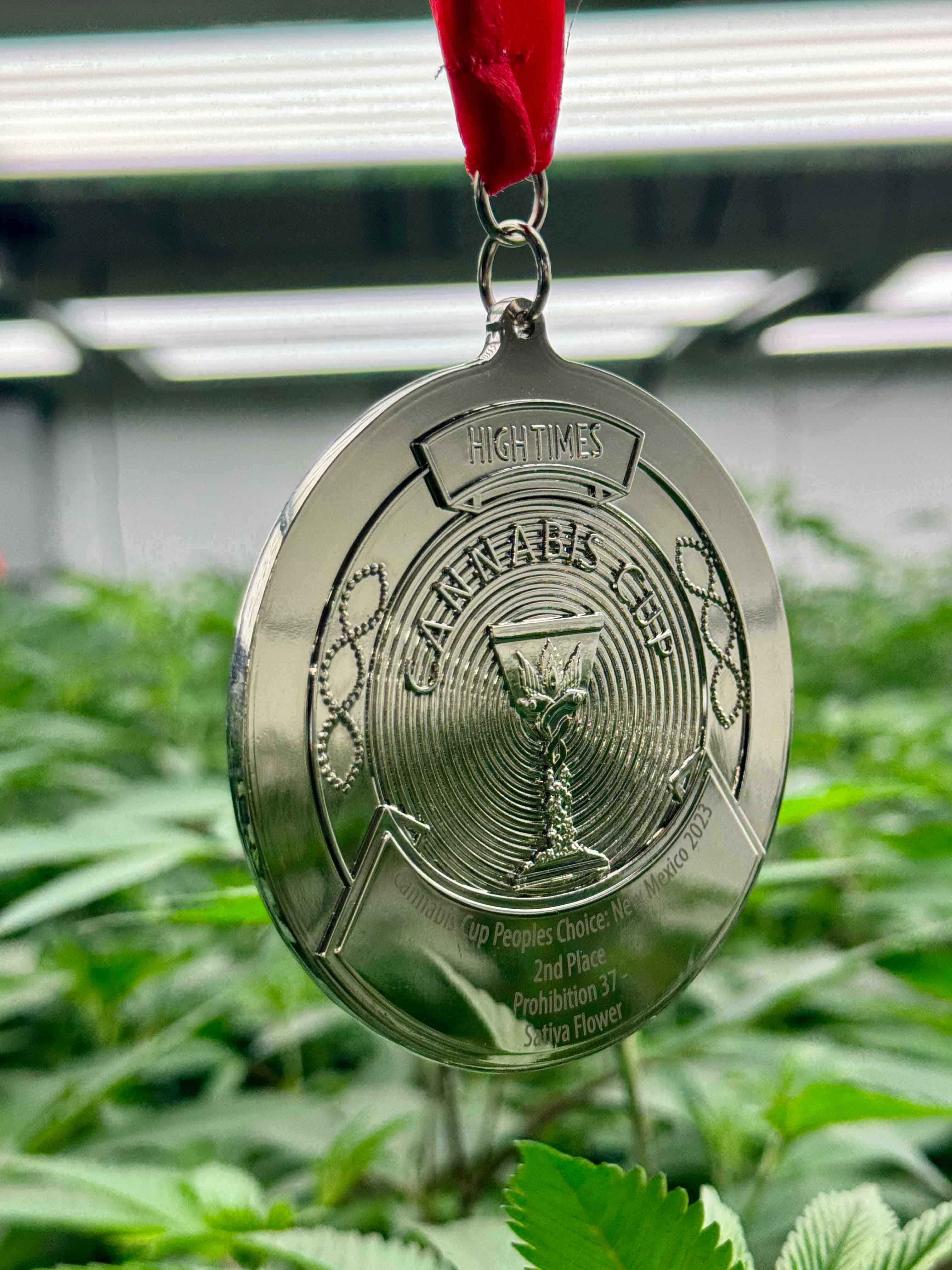 2023 High Times Cannabis Cup 2nd Place Winner