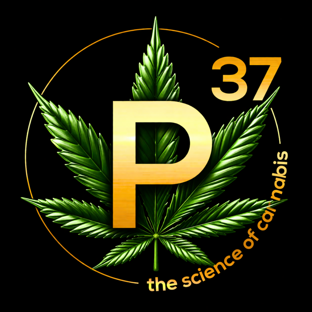 P37 4/20 Celebration Guide